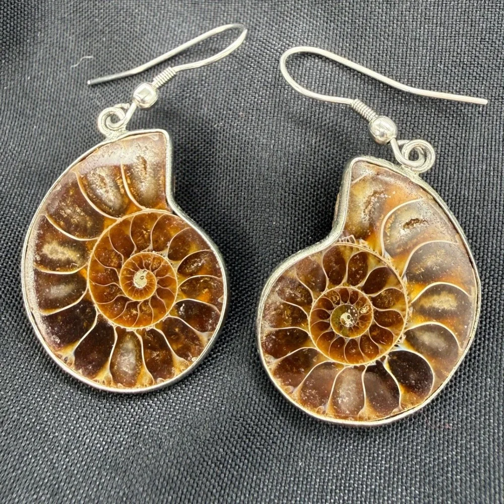 Natural Ammonite Fossil Dangle Earrings Polished Spiral Earthy Boho Brown Gift